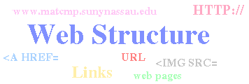 Web Structure
